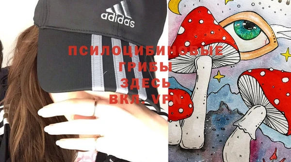ALPHA-PVP Алексин