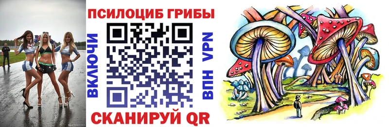 Псилоцибиновые грибы Psilocybine cubensis  где найти наркотики  Туран 